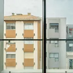 Porto City Escape